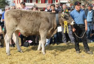 141004Altdorf 157